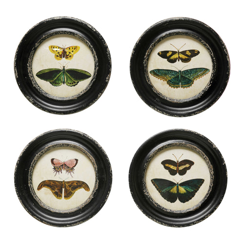 Framed Wall Decor with Moths/Butterflies Image